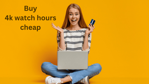 Buy 4000 watch hours cheap