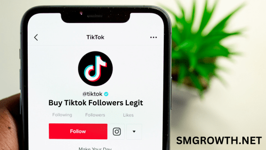 Buy Tiktok Followers Legit now