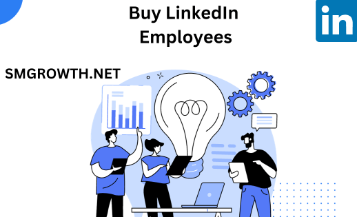 Buy LinkedIn Employees Conclusion