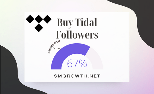 Buy Tidal Followers Service Now
