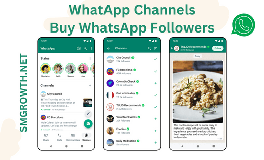 Buy Whatsapp Followers Today