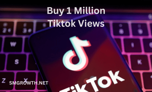 Buy 1 Million Tiktok Views