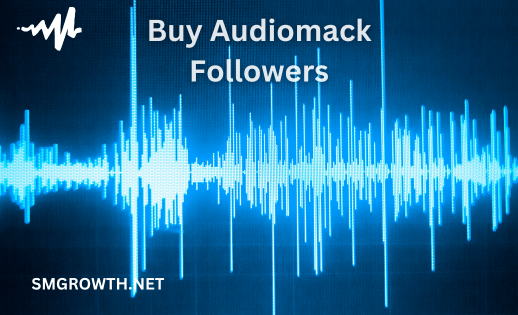 Buy Audiomack Followers FAQ