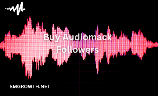 Buy Audiomack Followers Now