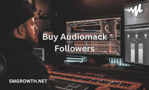 Buy Audiomack Followers Service