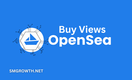 Buy OpenSea Views Service