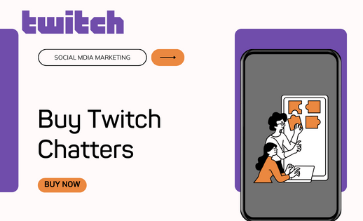 Buy Twitch Chatters Service